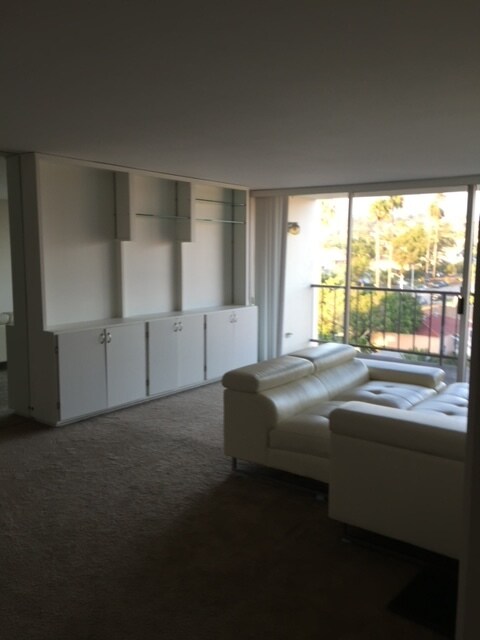 Photo - 4944 Cass St Condo Unit 509