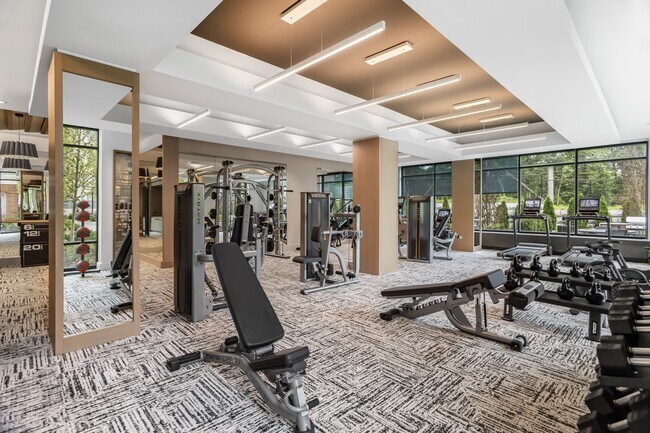 Fitness center with a variety of cardio and strength training equipment