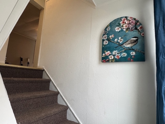 Photo - 3129 Pioneer Ave