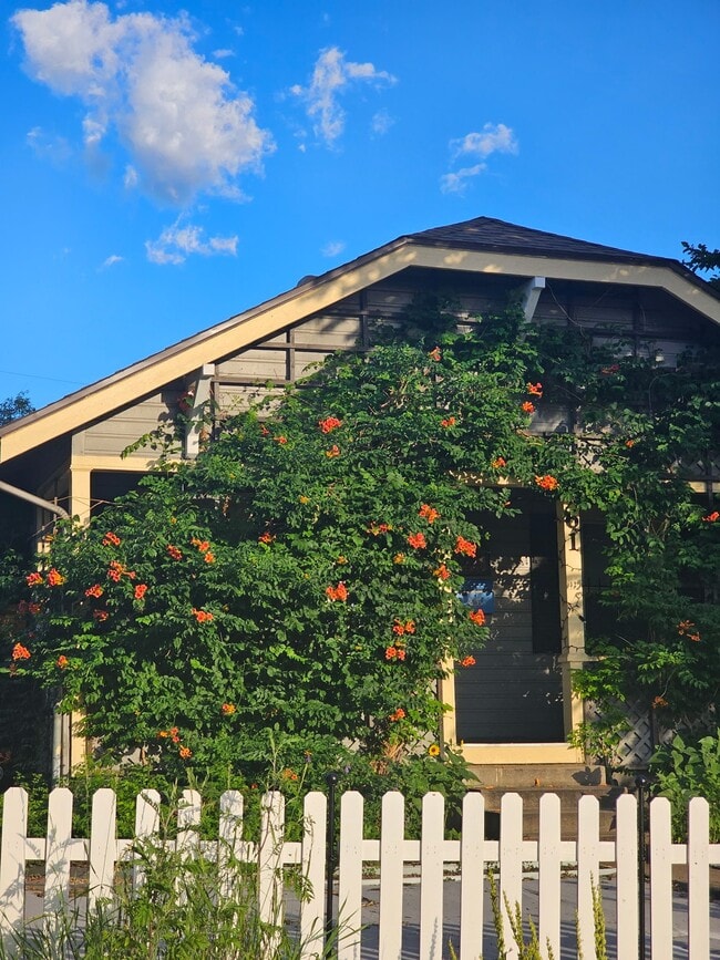 Photo - 61 Newton St