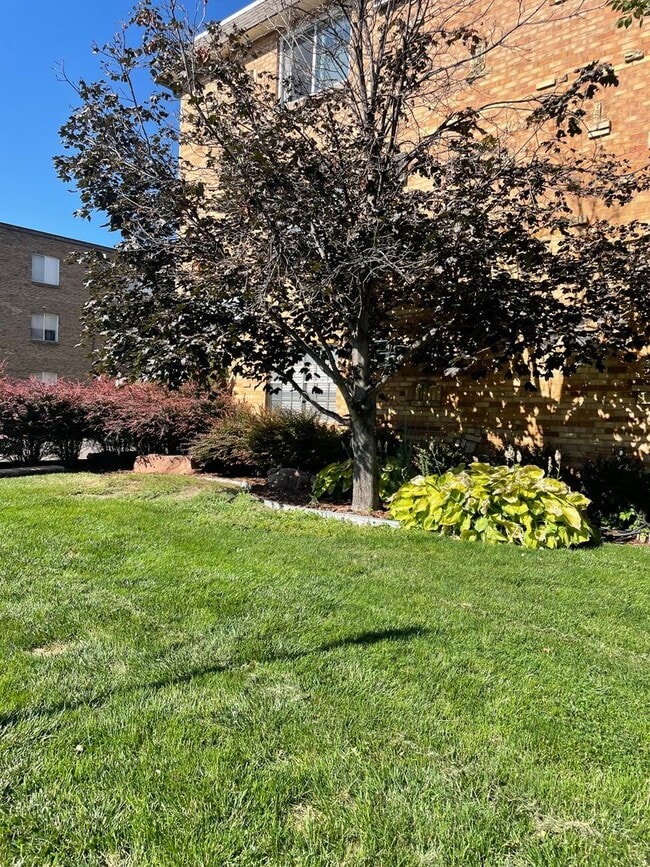 Swedish Plaza Apartments