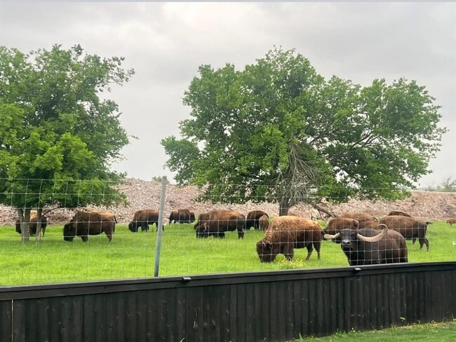 Photo - 11305 Sentinel Dr