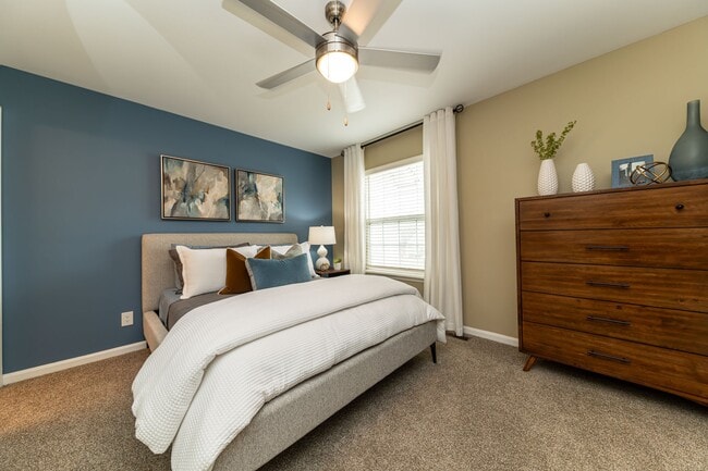 Cozy bedroom with carpet