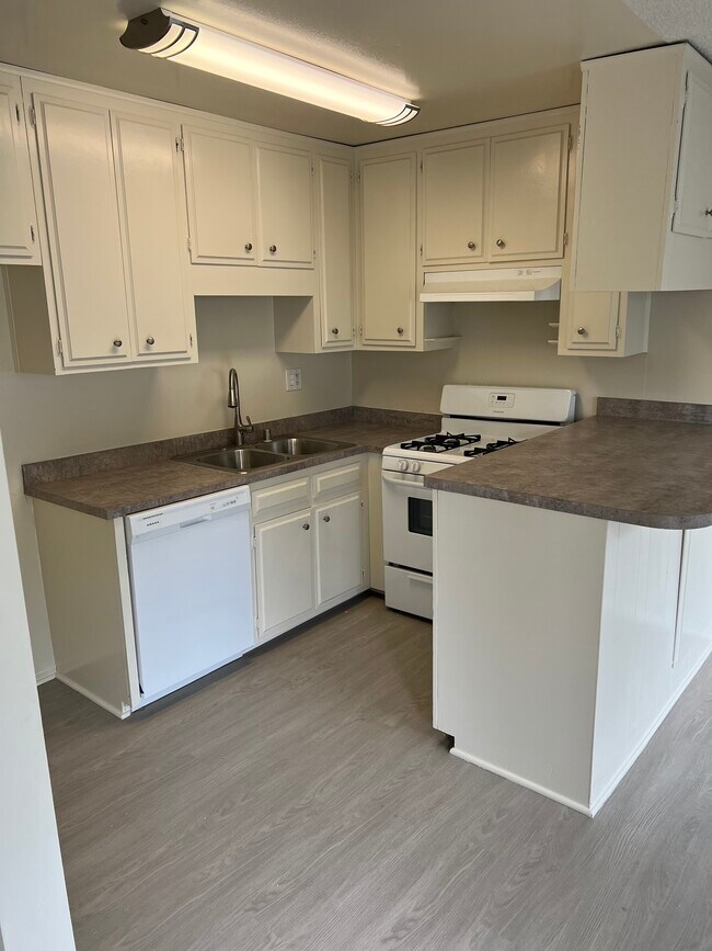 Photo - Sherman: 331 Eucalyptus