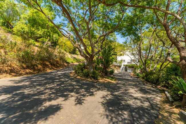Side Yard - The Arroyo House Student Living.