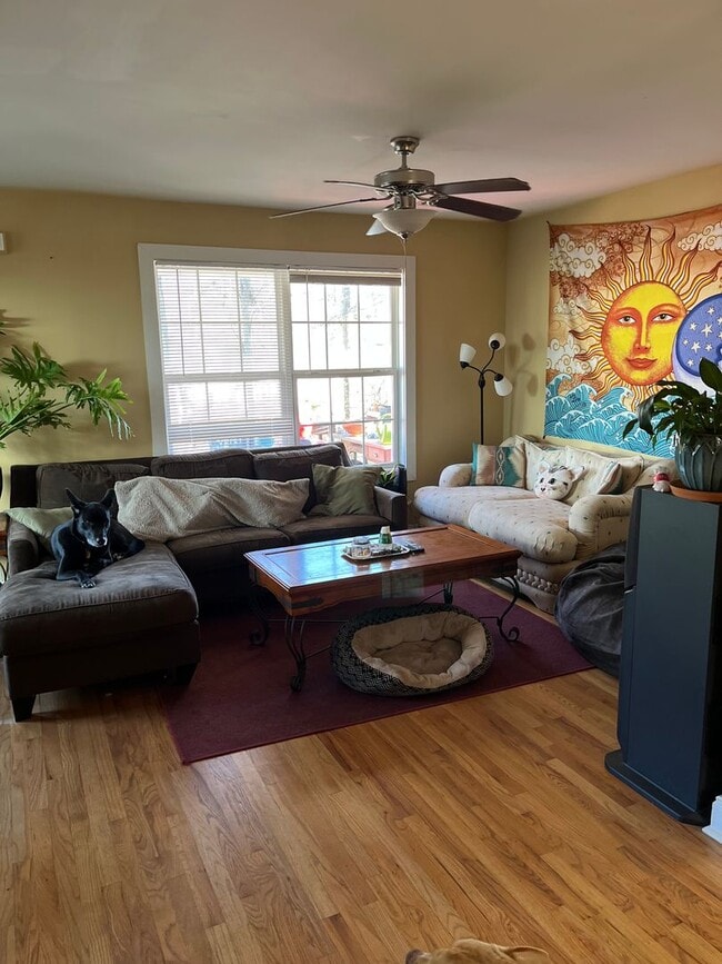 Photo - Well kept modern 3bd 2ba house