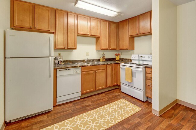 Conifer Grove Apartments - Kitchen - Conifer Grove Rental