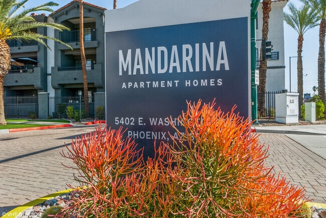 Building Photo - Mandarina Rental
