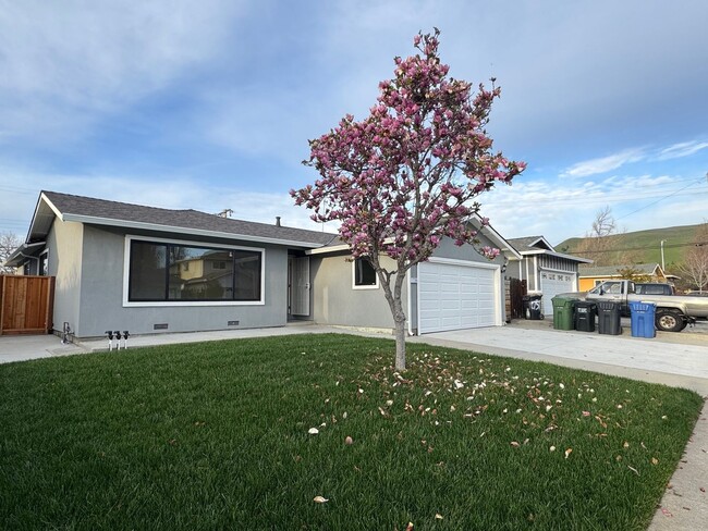 Fully remodeled home in mature neighborhood - Fully remodeled home in mature neighborhood