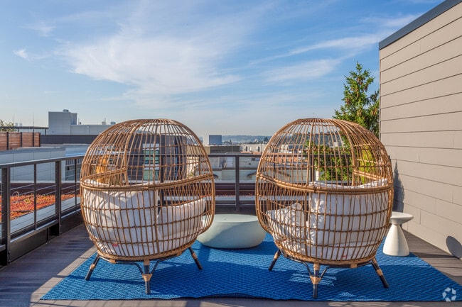 Rooftop
