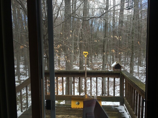 Photo - 3590 S Timber Trl