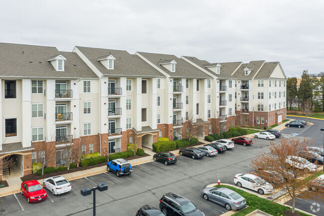 Building Photo - Commons at Potomac Square Rental