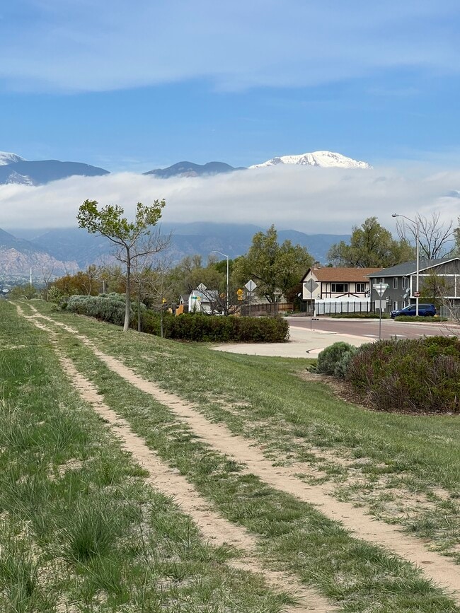 Photo - 4797 Live Oak Dr