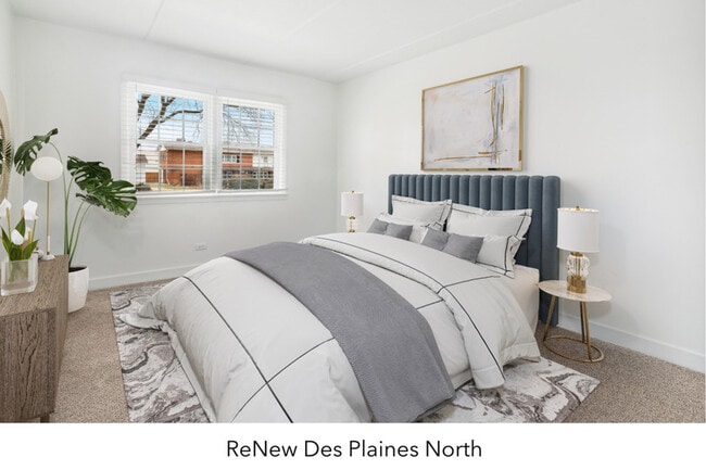 ReNew Des Plaines North