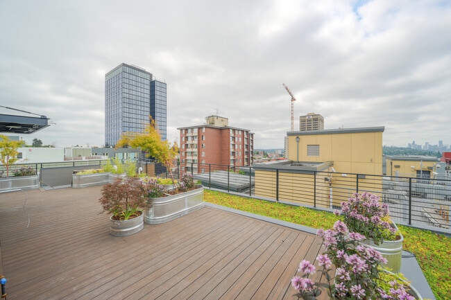 Roofdeck - MontClair Apartments