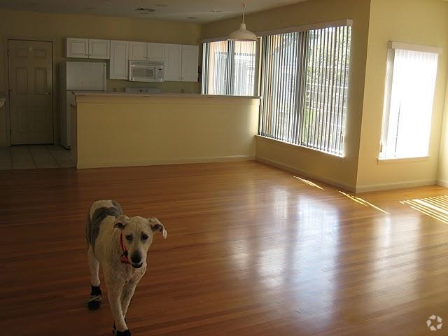 Building Photo - 31 Channing St Unit 1 Rental