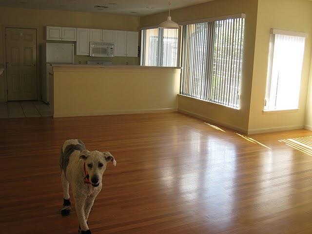 Building Photo - 31 Channing St Unit 1 Rental