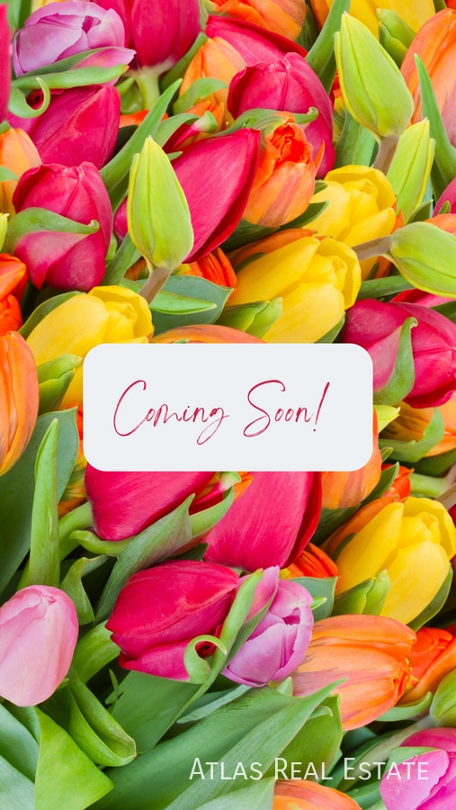 Building Photo - 6645 Evening Grosbeak Pl