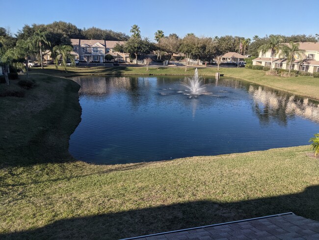 View from Living Room - 8230 Dames Point Crossing Blvd N Casa Adosada