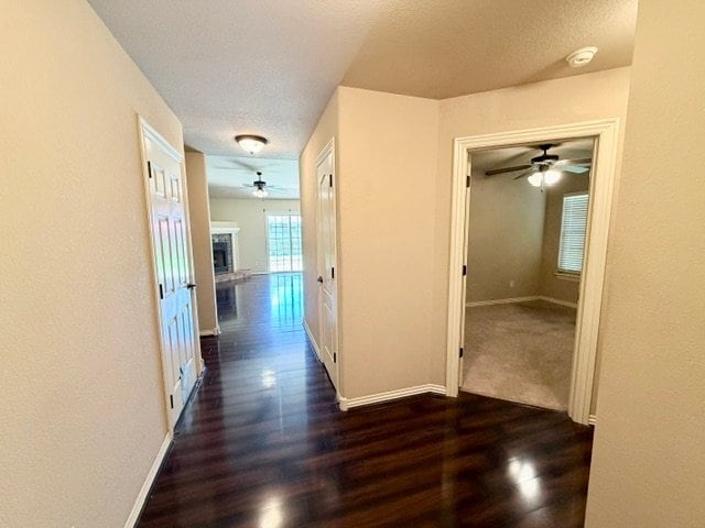 Photo - 3791 W Mahogany Dr