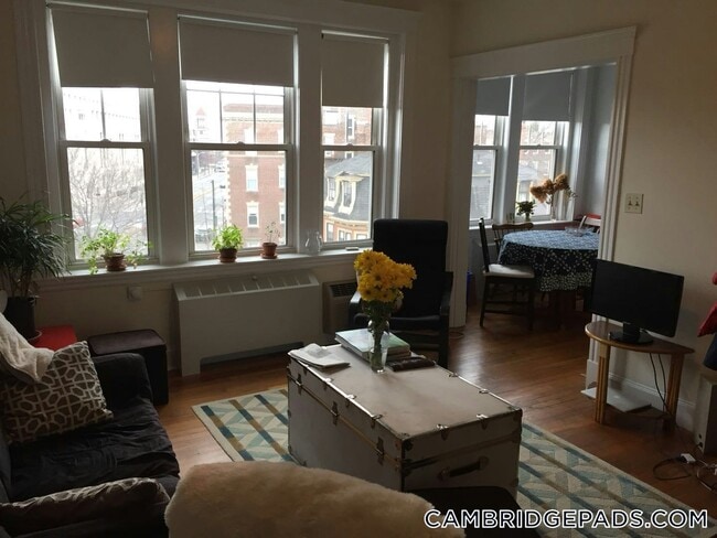 Building Photo - 1 Langdon St