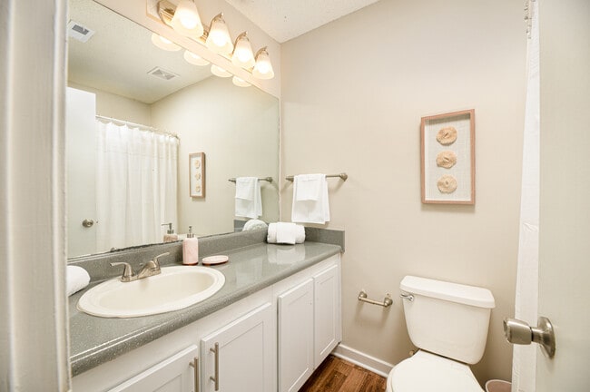 Enjoy clean, comfortable convenience in your bathroom at Southwind Apartments in Richland, MS!