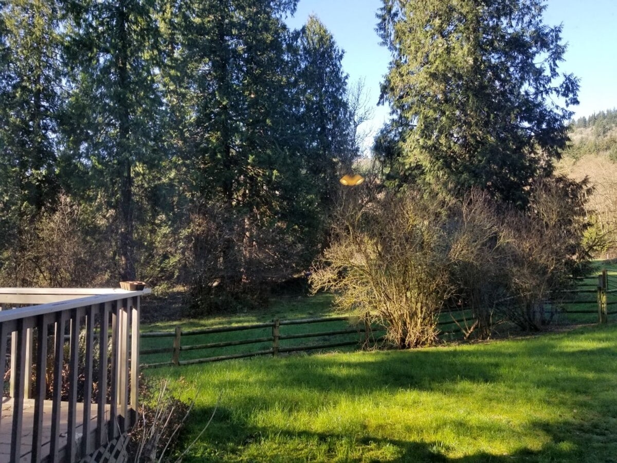 Photo - Beautiful MIL unit 2 bed 1 bath deck Nestled Squak and Cougar Mt (Issaquah)