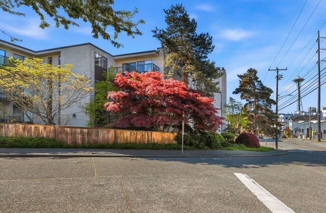 Photo - Large One bedroom condo with New Flooring, W/D, Parking, and WSG included!! Unit 101