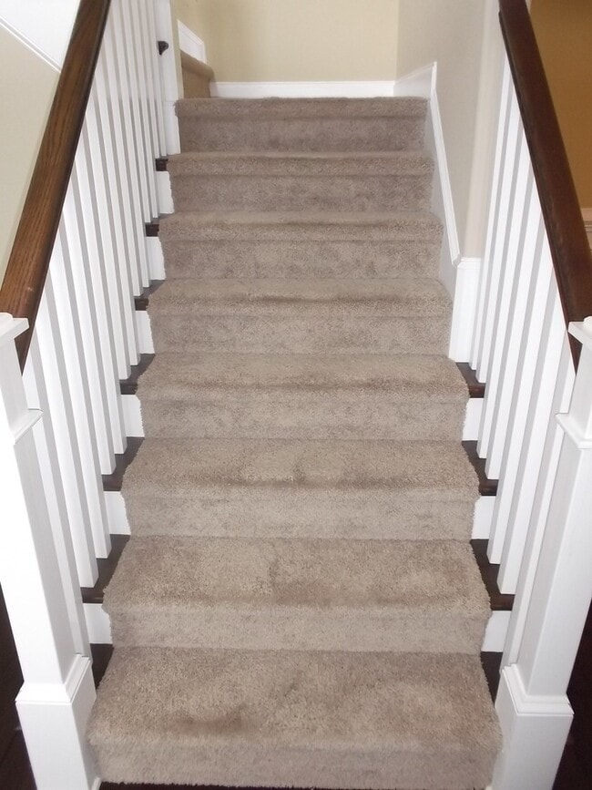 Photo - Absolutely Gorgeous!