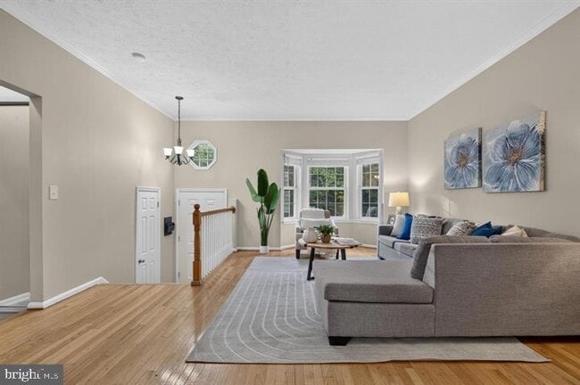 3609 Buckeye Ct