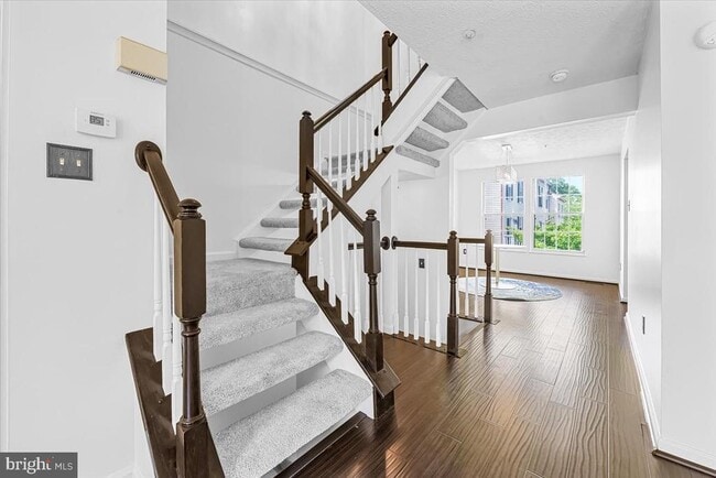 Photo - 11304 Southlakes Dr