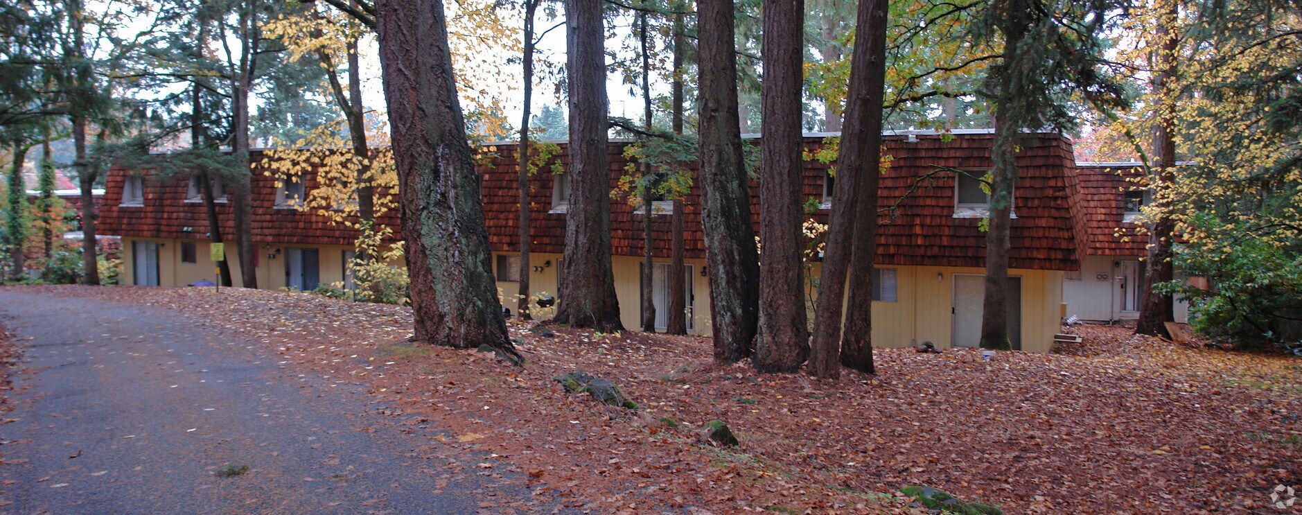 Woodland Terrace - Woodland Terrace