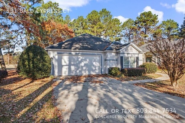 Photo - 131 Bald Cypress Ct