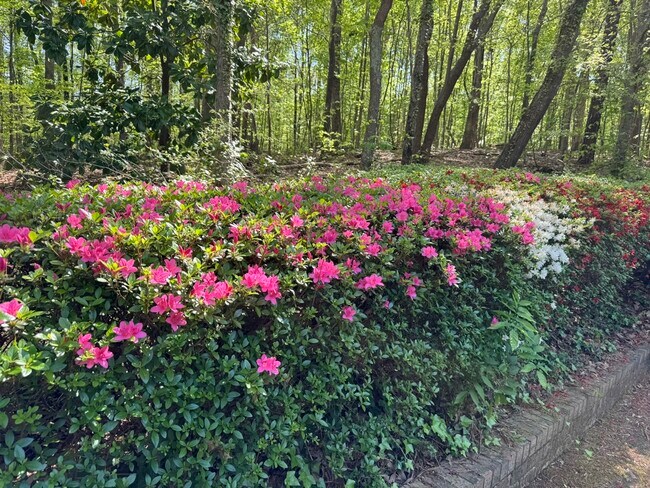 Photo - 4901 Richland Dr