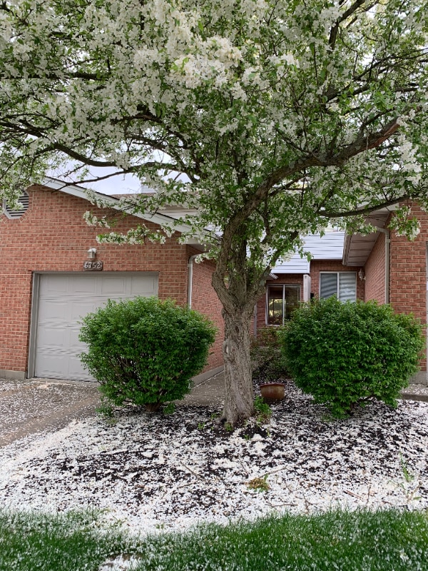 Photo - 6752 Ashley Ct