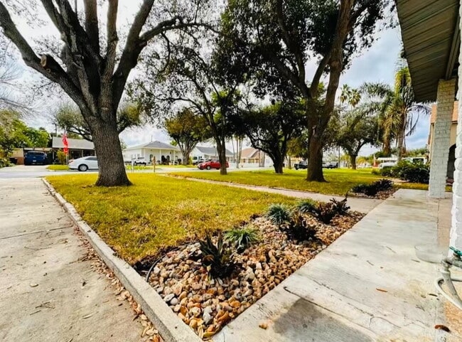 Photo - Beautiful and cozy single family home located in the Mcallen Arts District - AVAILABLE SEPTEMBER 1st