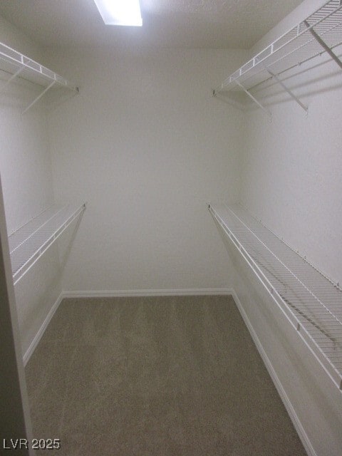 Photo - 6853 Homing Dove St