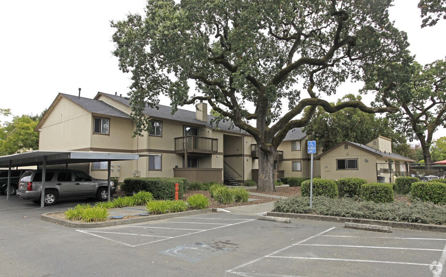 Woodgate Oaks Apartments - Woodgate Oaks Apartments