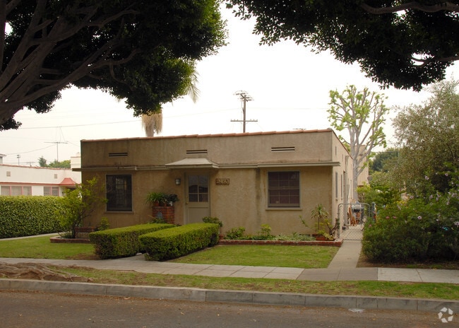 Primary Photo