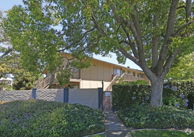 Blue Hills Studio