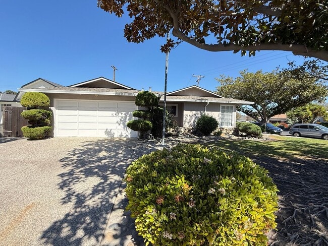 Building Photo - Updated single-level home located in the highly sought-after Killarney Farms neighborhood of Sant...