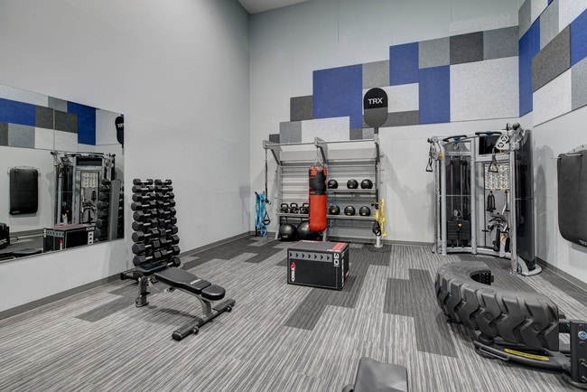 Photo - Carol Stream Crossing