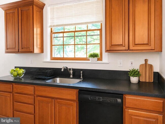 Photo - 4843 Butterworth Pl NW