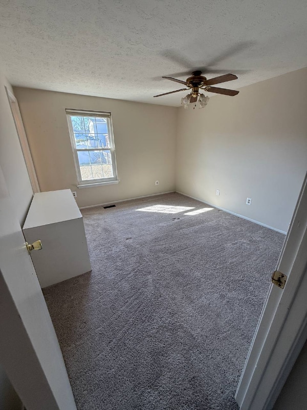 Photo - 7726 Acrocomia Dr