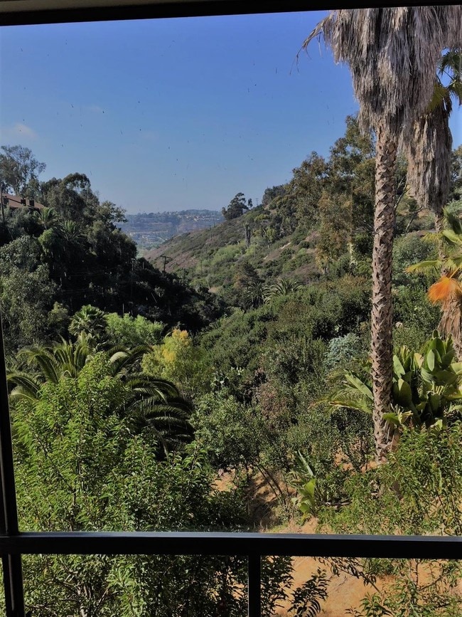 Canyon View