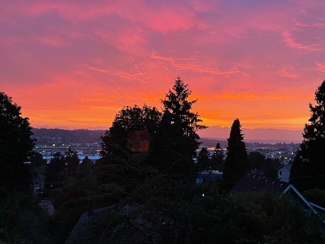 Building Photo - 4253 Palatine Ave N