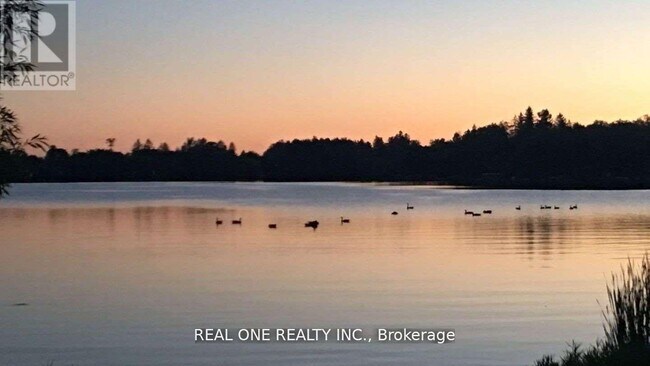 Photo - 14833 Ninth Line