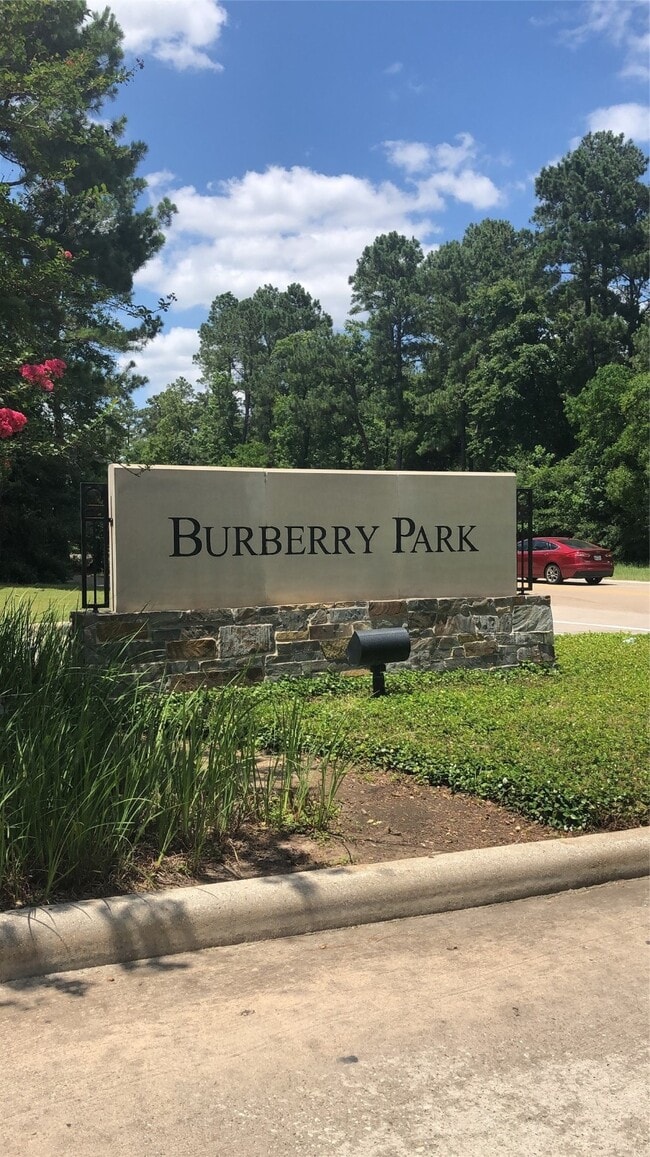 Building Photo - 11 Aquiline Oaks Pl