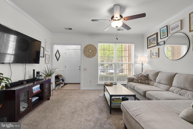 Photo - 11213 Edson Park Pl