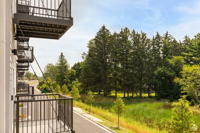 1BR, 1BA - View